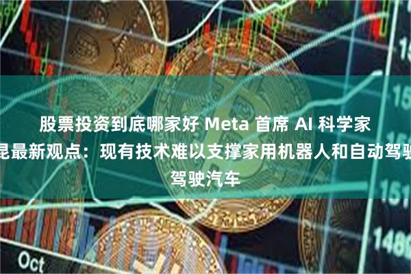 股票投资到底哪家好 Meta 首席 AI 科学家杨立昆最新观点：现有技术难以支撑家用机器人和自动驾驶汽车