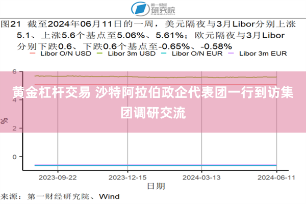 黄金杠杆交易 沙特阿拉伯政企代表团一行到访集团调研交流