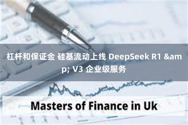 杠杆和保证金 硅基流动上线 DeepSeek R1 & V3 企业级服务