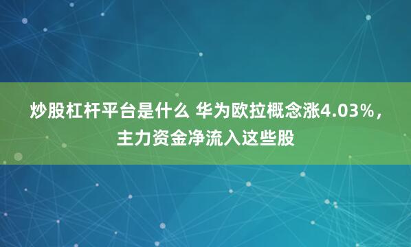 炒股杠杆平台是什么 华为欧拉概念涨4.03%，主力资金净流入这些股